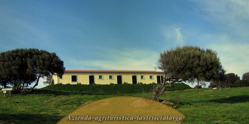 Azienda Agricola - Bed and Breakfast